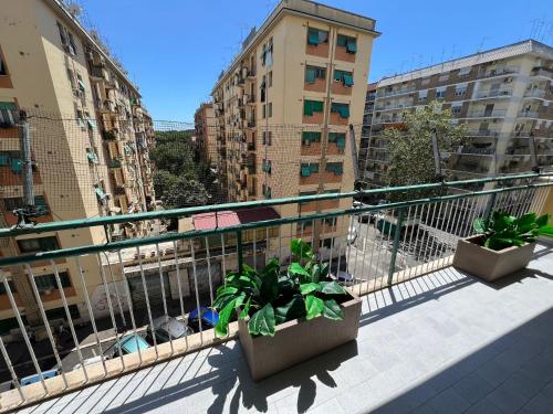 Luciano Queen's Guest House - image 12