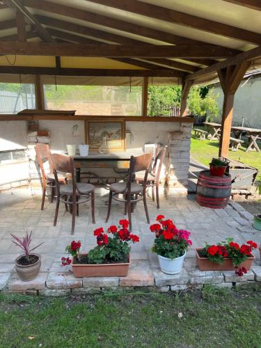 Apartman - Garden - Vendégház
