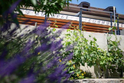 Auberge Communale à l'Union - image 5