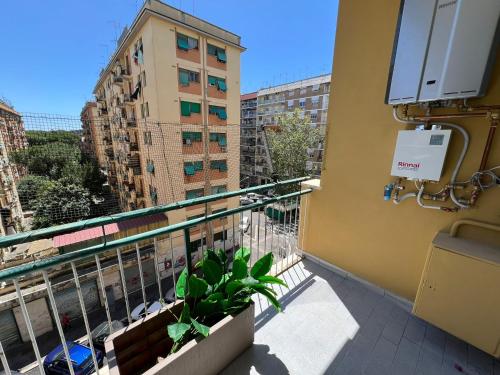 Luciano Queen's Guest House - image 7