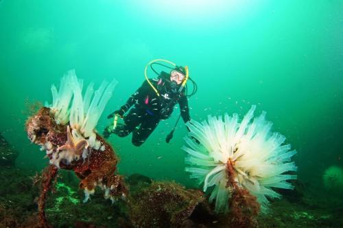 Øen Hytter 1 Øen Hytter 1