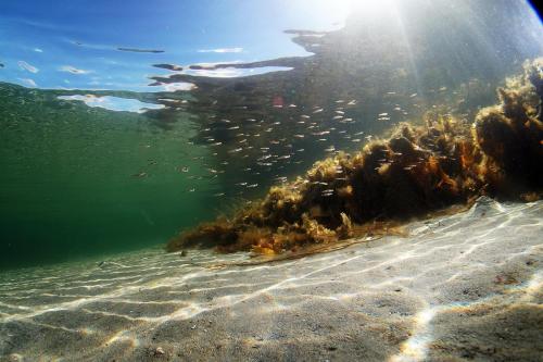 Øen Hytter 1 Øen Hytter 1