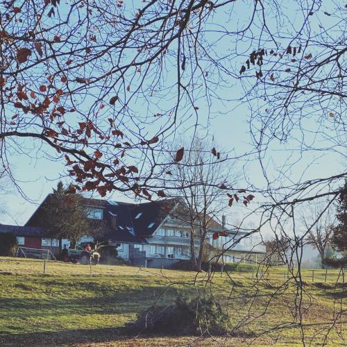 Ohmayerhof Ohmayerhof