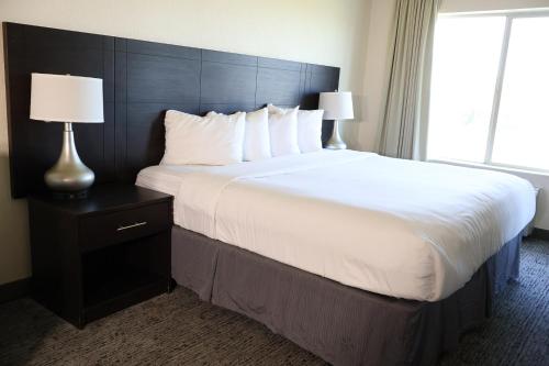 Junior Suite with King Bed