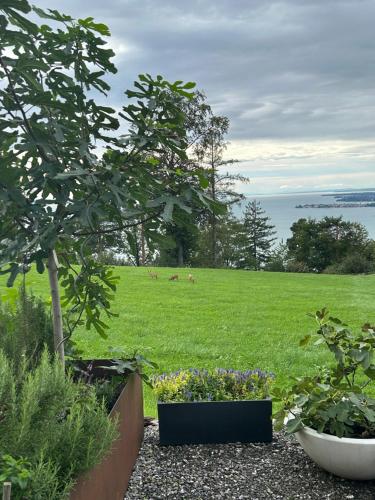  Seeblick Appartements Henle in Lochau