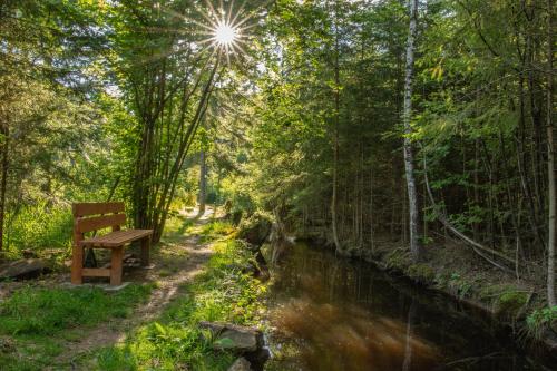 Arktik Lesní Mlýn (Arktik Lesni Mlyn) in Lesova