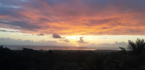 Omgeving, Pipirite Chantant - Studios Vue Mer in Sainte Rose