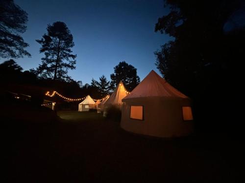 Exclusivo glamping en el bosque in Ferrería de Tula, Mexico