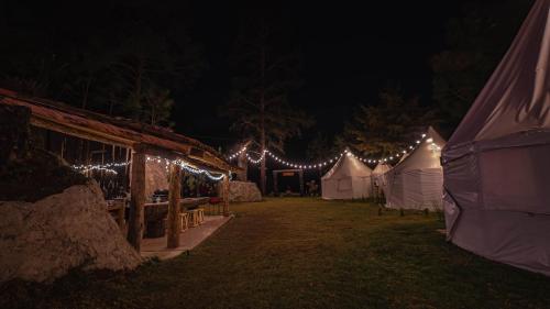 Exclusivo glamping en el bosque in Ferrería de Tula, Mexico