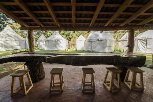 virtuve, Exclusivo glamping en el bosque in Chiquilistlan