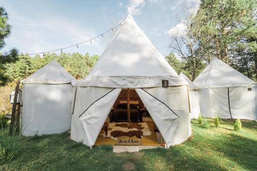 Exclusivo glamping en el bosque in Ferrería de Tula, Mexico