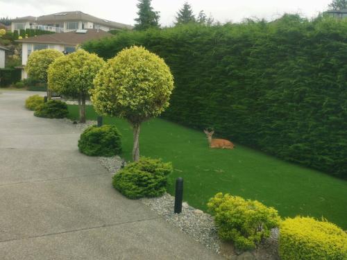 Oceanfront Gated villa