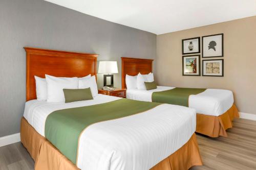Queen Room with Two Queen Beds - Non-Smoking