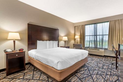 Best Western PLUS Hobby Airport Inn and Suites - image 14
