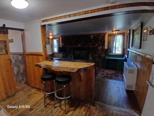 Big Bear Lake - Tulip Lane Cabin #21 in Big Bear Lake, USA