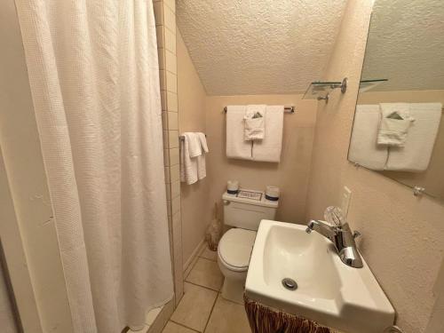Valley Condo 103 - Creekside - Wi-Fi - Hot Tub - Fireplace - Washer - Dryer - Playground in Red River, USA