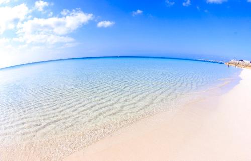 宮古島ゲストハウスほんまや in Miyakojima