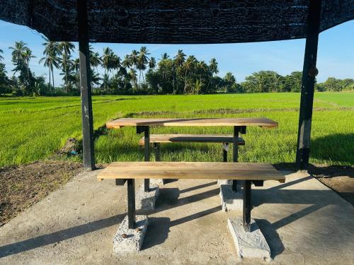 New Haven Polonnaruwa