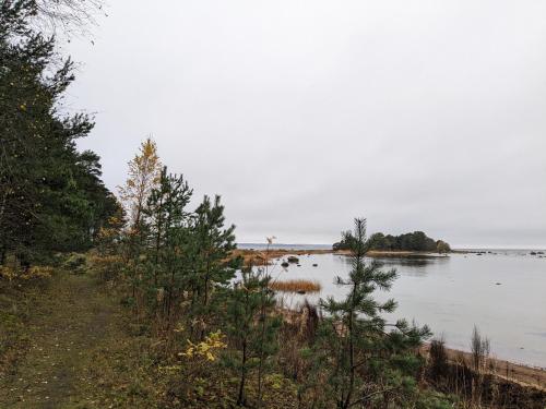 Seaside log-house 'Merehõbeda' with sauna and hot tub