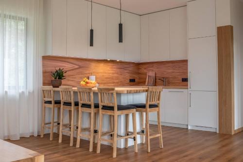 廚房, Dzintarmāja (Dzintarmaja) in 帕維洛斯塔