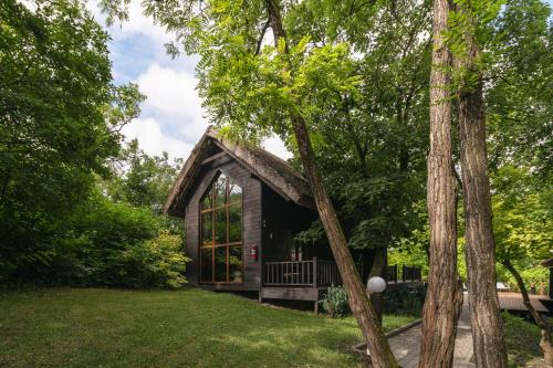 Tree House - image 14