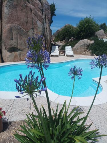 B&B RENA MAJORE con piscina privata chambre d'hôte Casa Piculiri