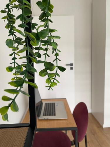 Apartament na Krowodrzy