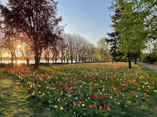 Hotel am Borsigturm - image 14