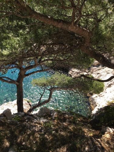 Surrounding environment, Typique cabanon familial in Other