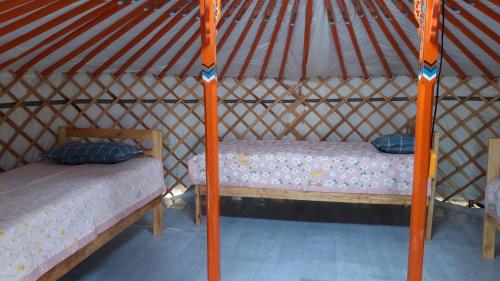 Aisana ger camp in Olgii