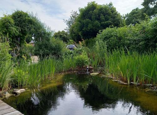 Garden, Ferienidyll Niesgrau in Niesgrau