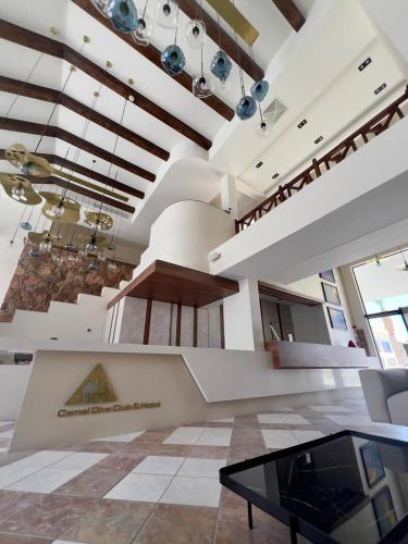 Camel Dive Club & Boutique Hotel - image 5