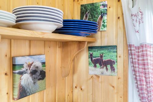 Tinyhouse Alpakawiese