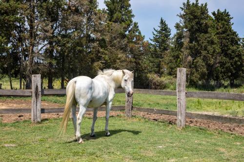 Mas des Cypres-Ensemble de 4 Mazets Mas des Cypres-Ensemble de 4 Mazets