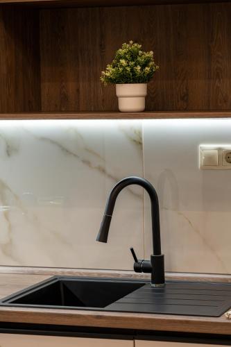 D52 Luxury Suite - image 4