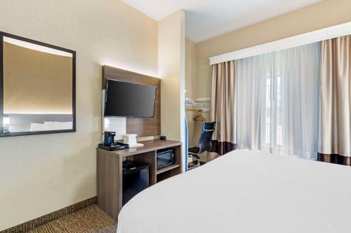 Comfort Suites Merrillville - image 8