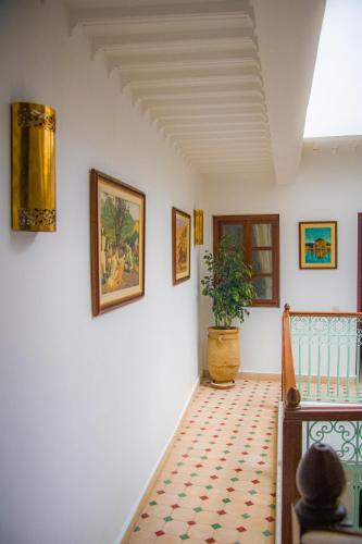 Riad dei colori - image 4
