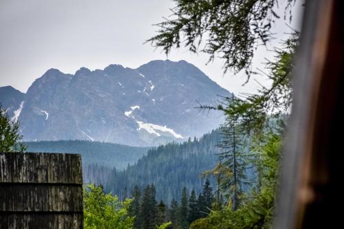 Za górami Za lasami Zakopane, Zakopane
