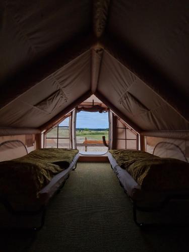 Luxuszelt in der Pferdeherde in 布賴丁