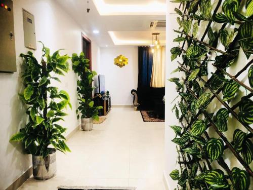 Two Bed DD DHA Ph4 Gold Crest Lahore - image 4