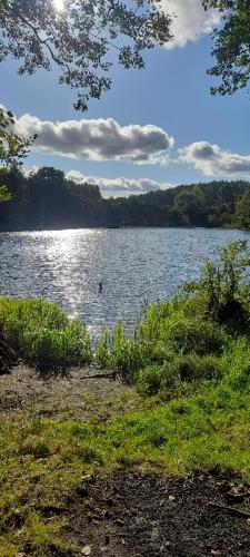 Zapach Lasu domek nad jeziorem in Lapino