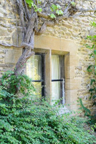 Charney Manor - main image