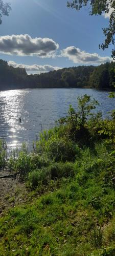 Zapach Lasu domek nad jeziorem in Lapino