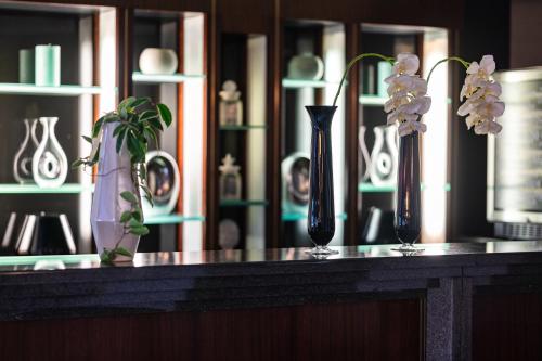 Hotel Europa - image 4