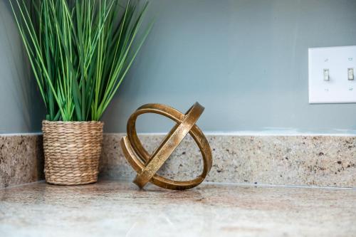 Stoney Oasis Stoney Oasis