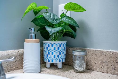 Stoney Oasis Stoney Oasis