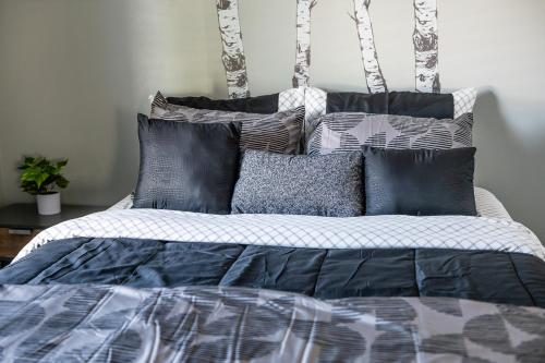 Stoney Oasis Stoney Oasis