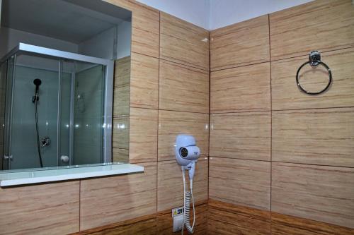 Conacul Cosăului - image 6