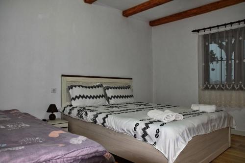 Conacul Cosăului - image 7