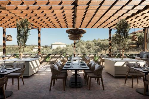 餐廳, King Jason Zante – Designed for Adults in 蒂錫利維